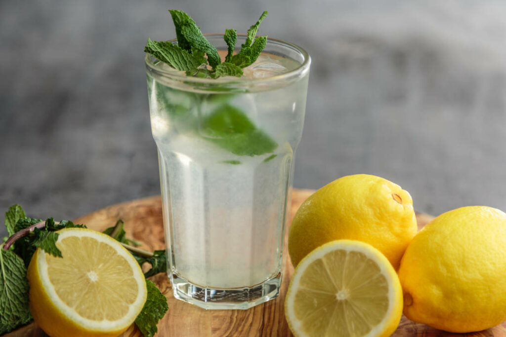 sommergetraenke-infused-water