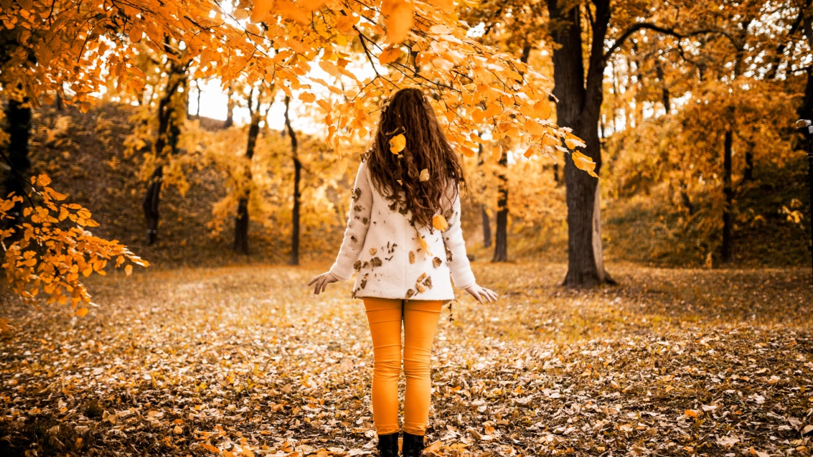 Herbstevents